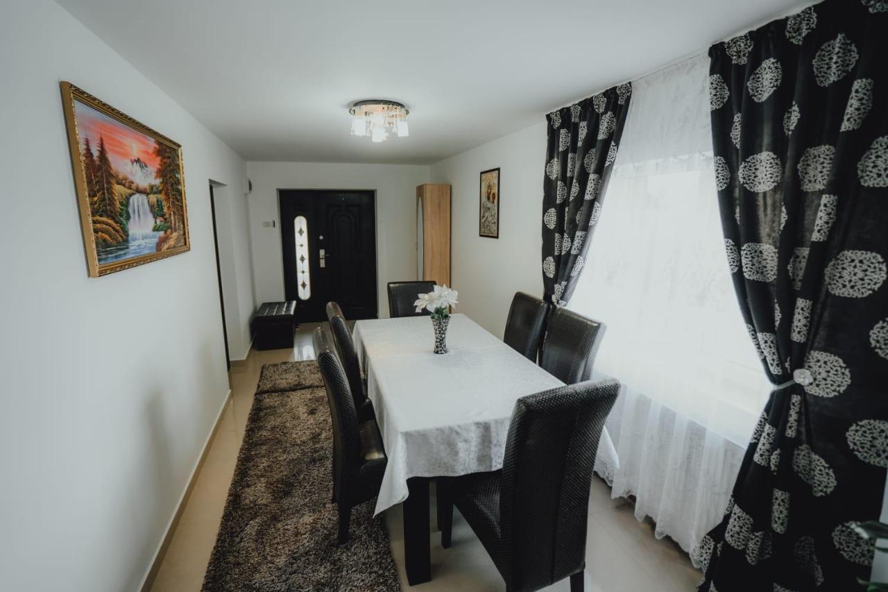 Casa Andreea Si Grigore Ursu Borşa Exterior foto