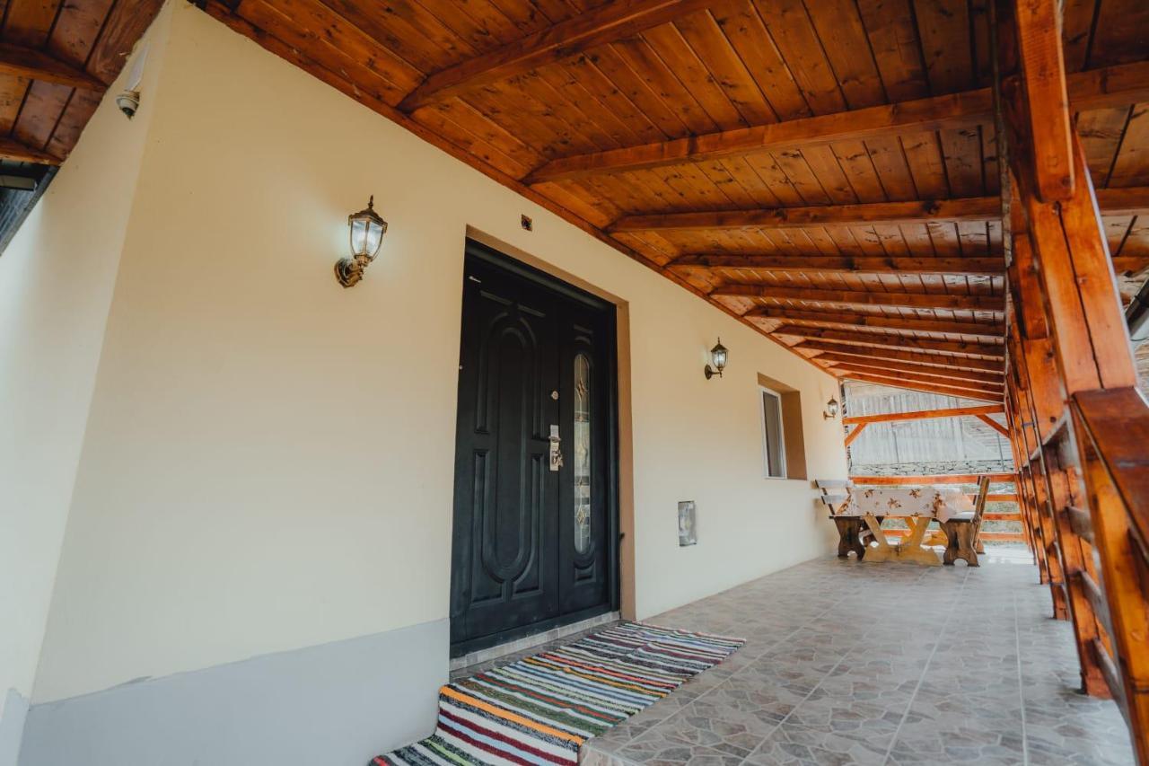 Casa Andreea Si Grigore Ursu Borşa Exterior foto