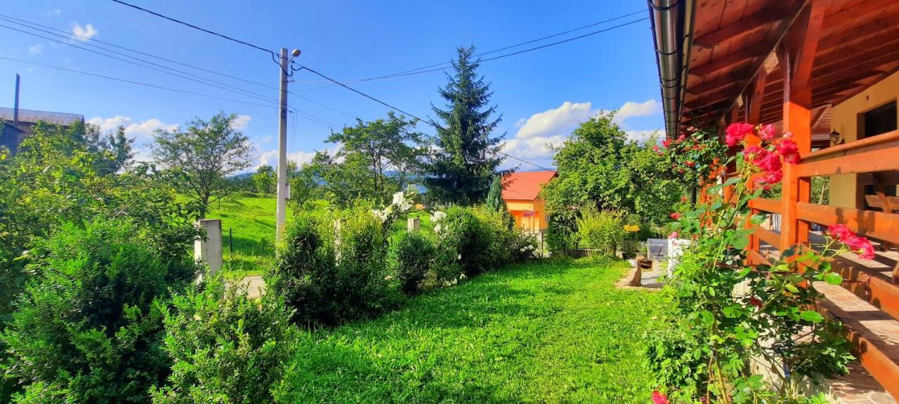 Casa Andreea Si Grigore Ursu Borşa Exterior foto